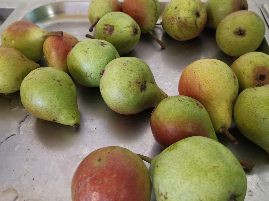 Slavyanka Hotel主图