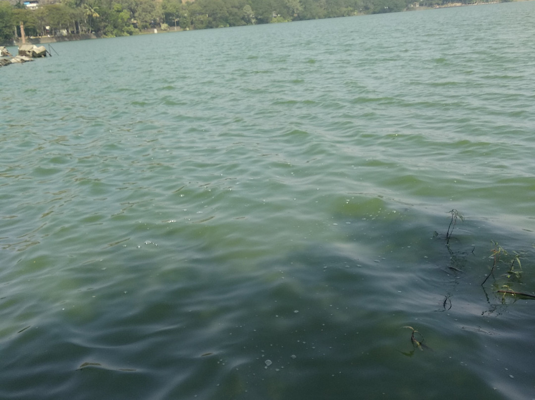 Varaldevi Lake景点图片