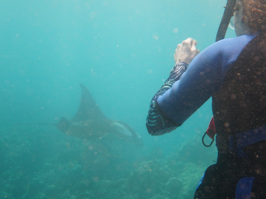 Gotcha Snuba-怀露库必去景点