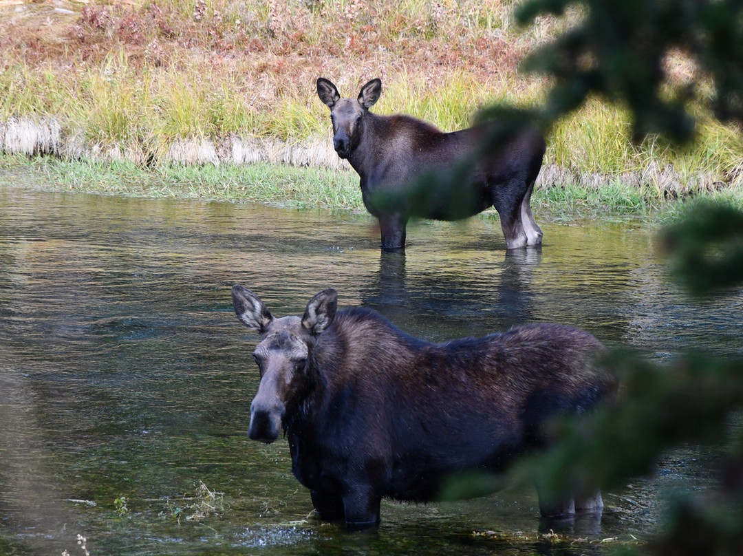 Johnny Sack Cabin-艾兰帕克必去景点