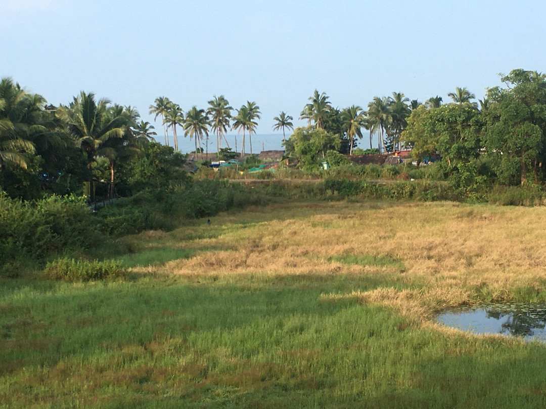 Salcete Beach Resort主图