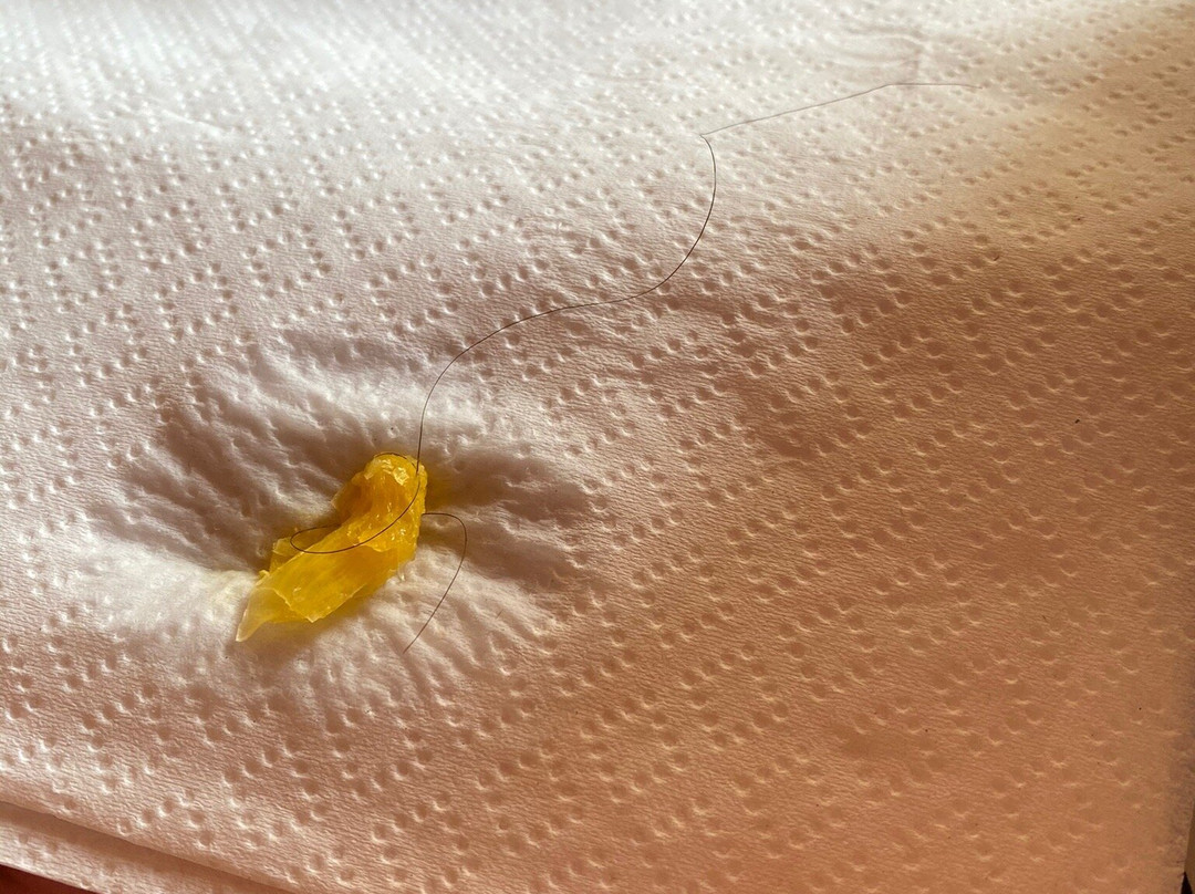 Puerto Viejo Llico主图