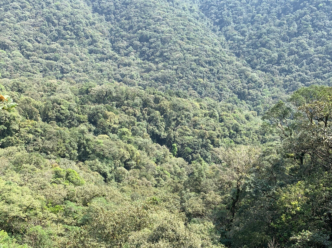 Marumbi Peak景点图片