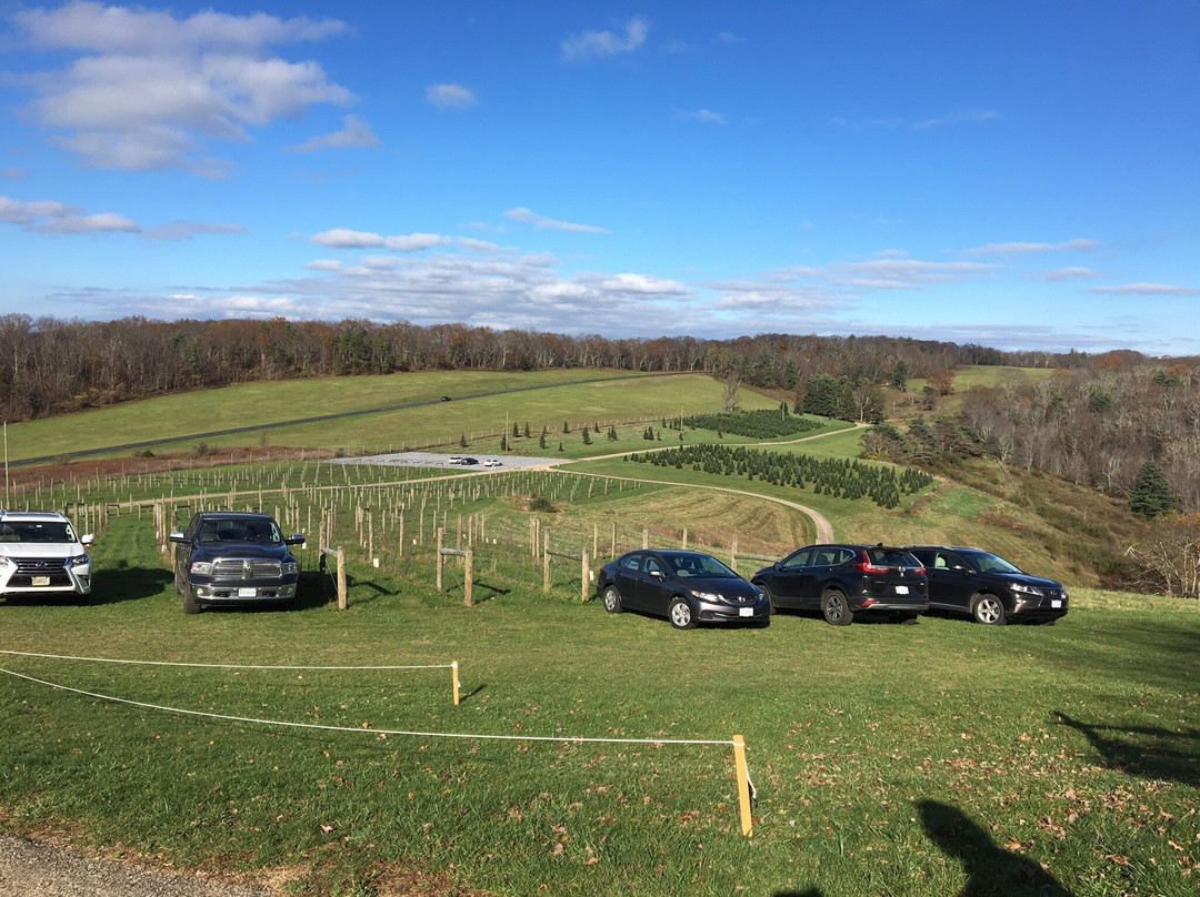 12 Ridges Vineyard-Vesuvius必去景点