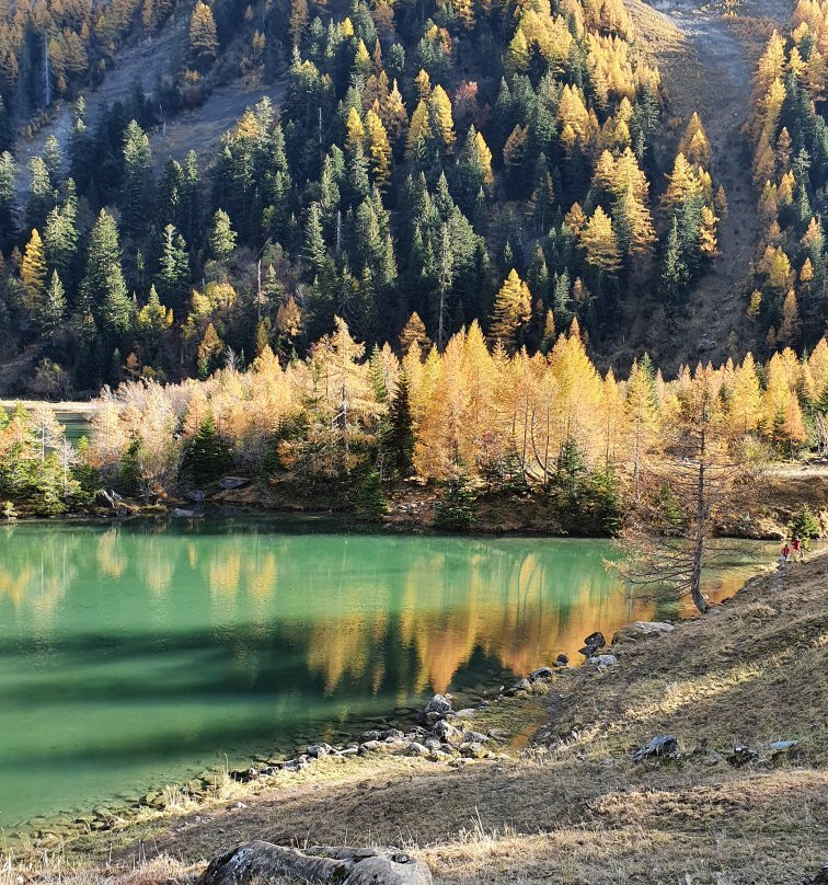 Lac de Derborence景点图片