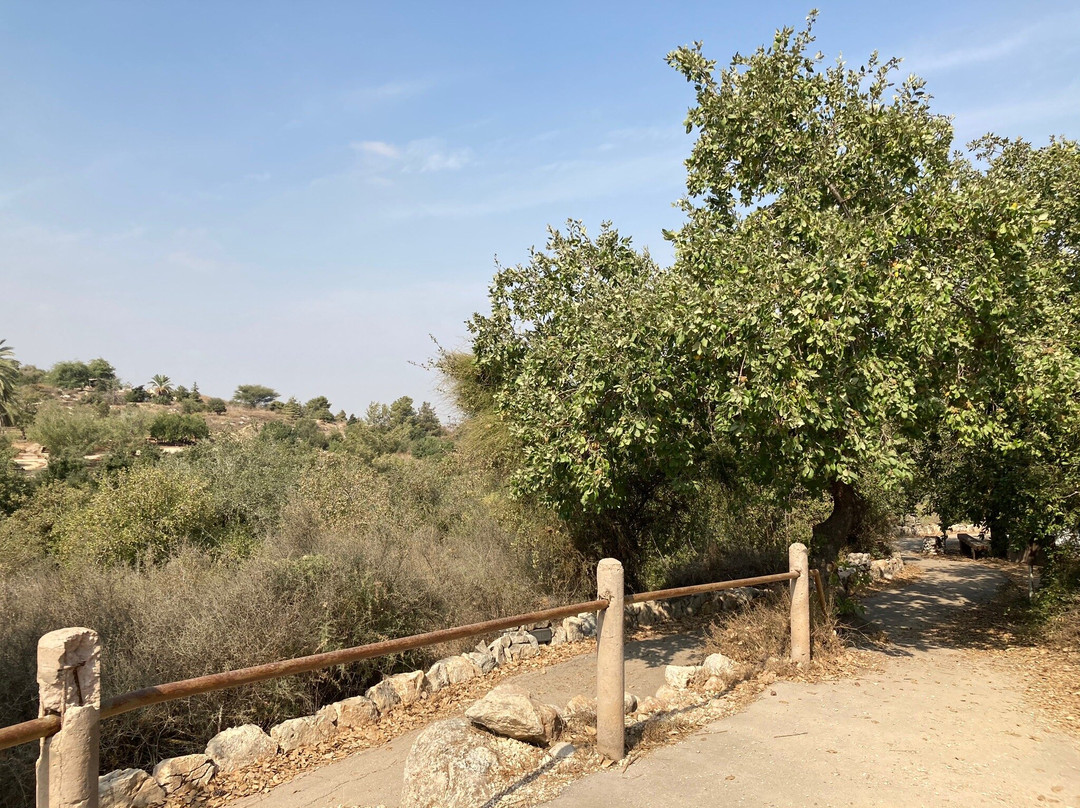 Neot Kedumim Biblical Landscape Reserve-Modiin必去景点