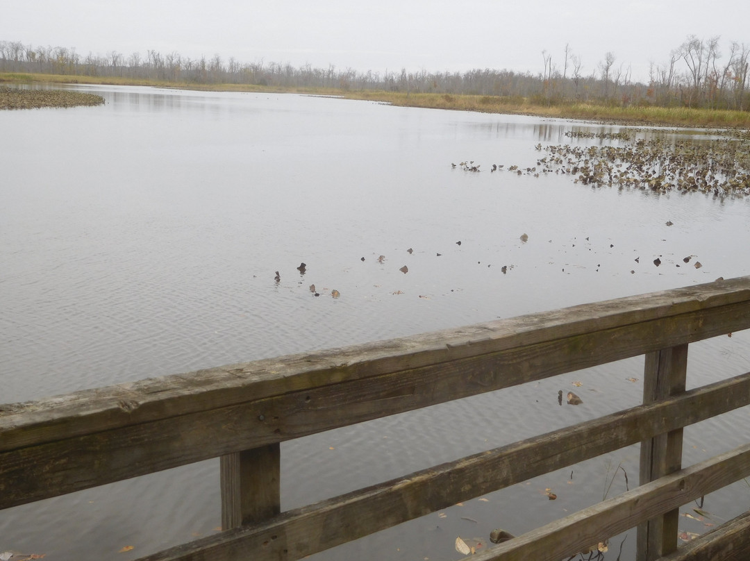 Cumberland Marsh Natural Area Preserve-New Kent必去景点