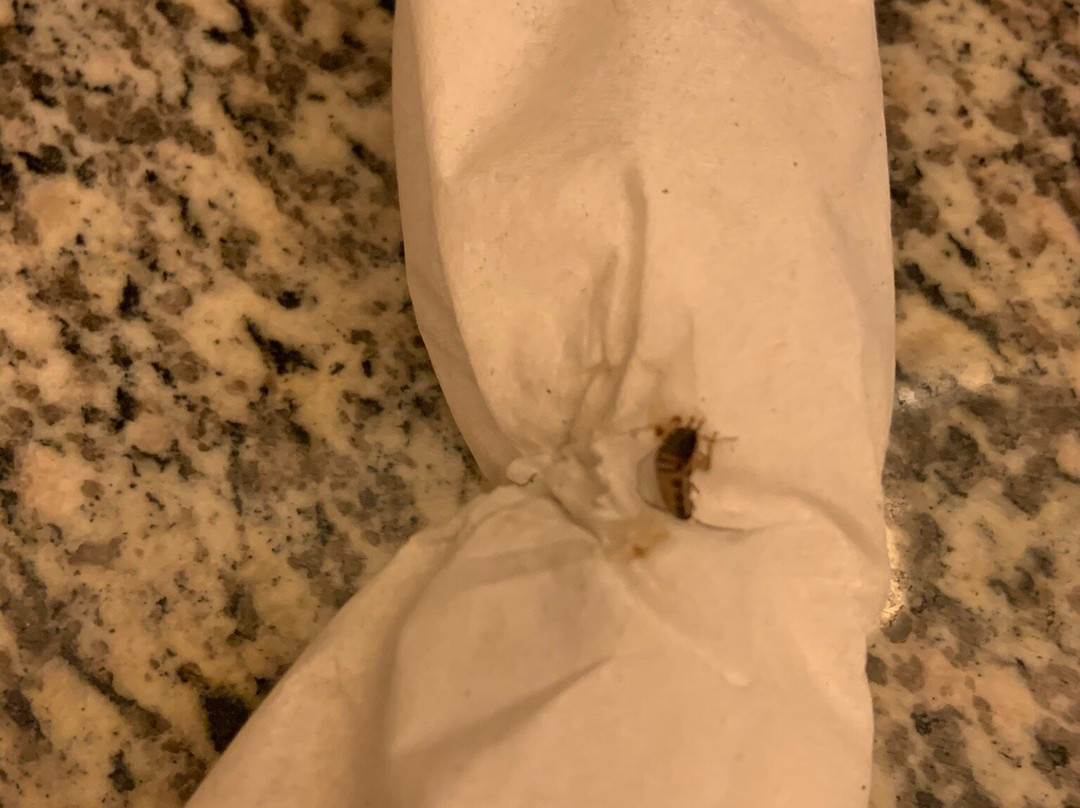 Sleep Inn & Suites主图