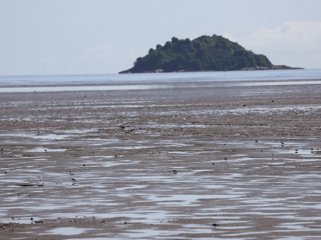 Sentier des Salines-Remire-Montjoly必去景点