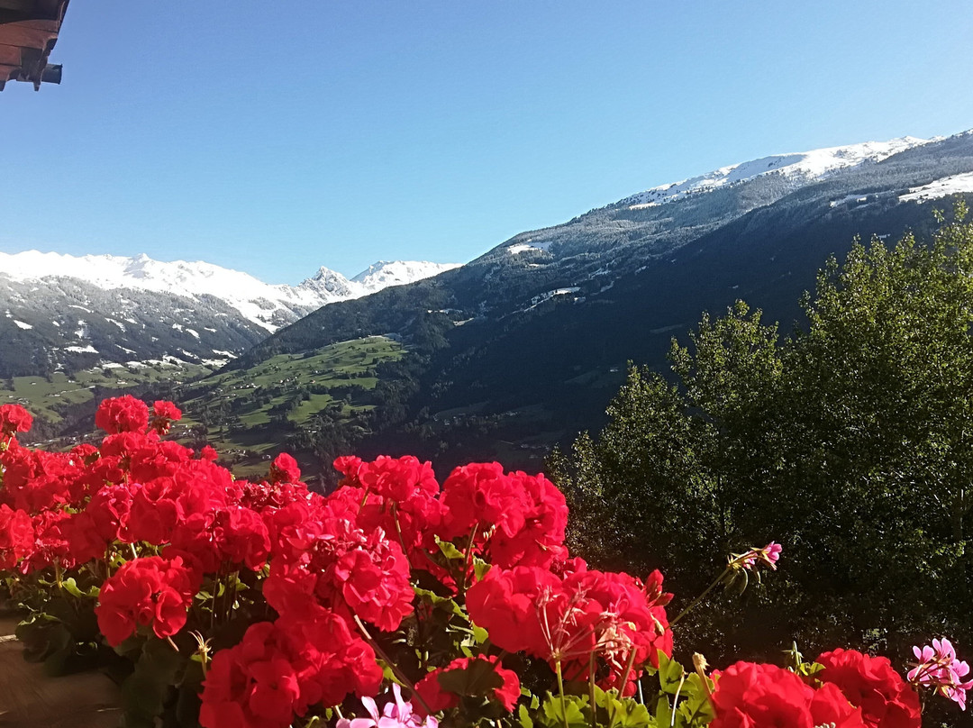 Aschau im Zillertal旅游攻略图片