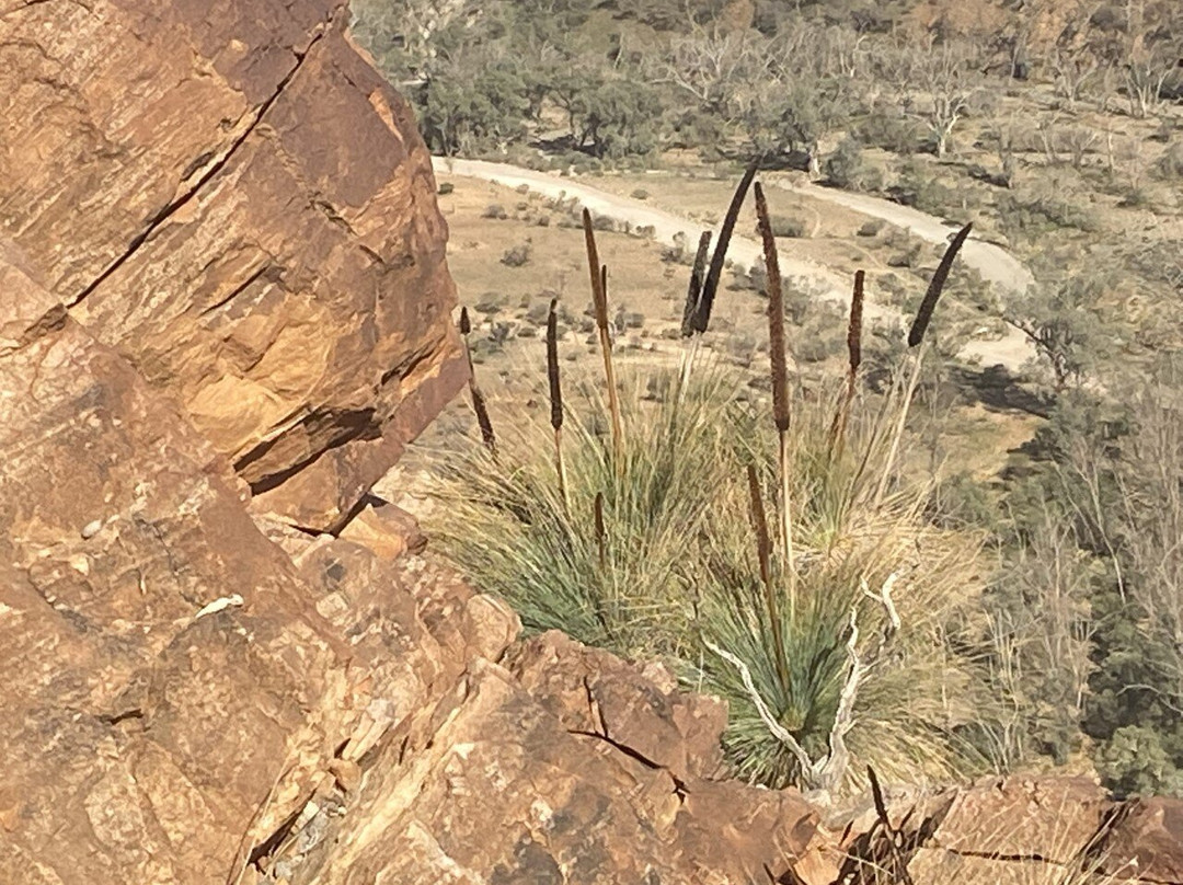 Arkaroola Wilderness Sanctuary景点图片