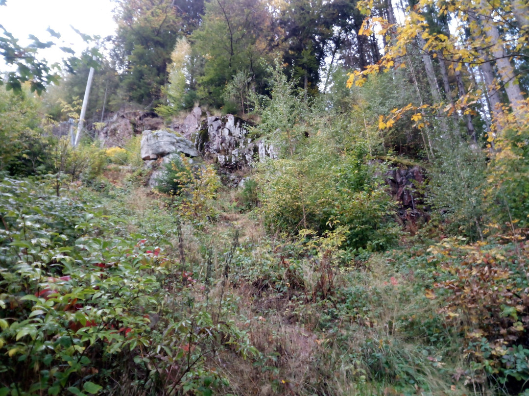 Schluchtensteig-Stuehlingen必去景点