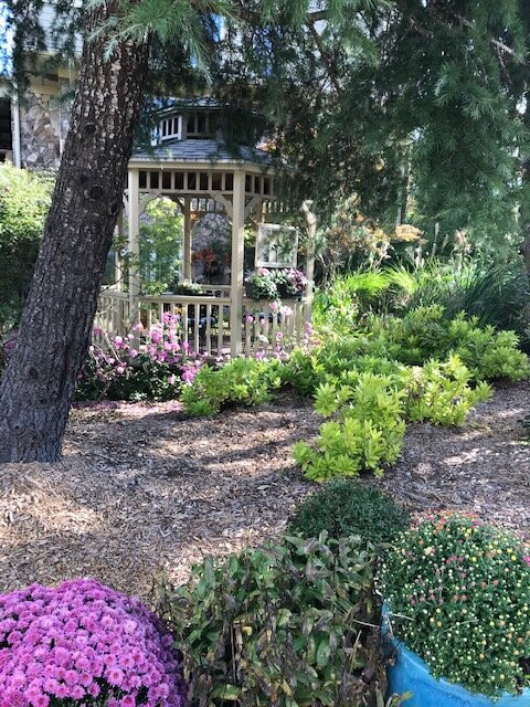 Lucille's Mountain Top Inn & Spa主图