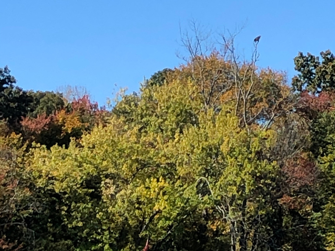 RiverQuest-Essex必去景点