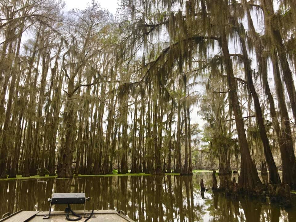 Ole Jigger Caddo Lake Adventures-Karnack必去景点