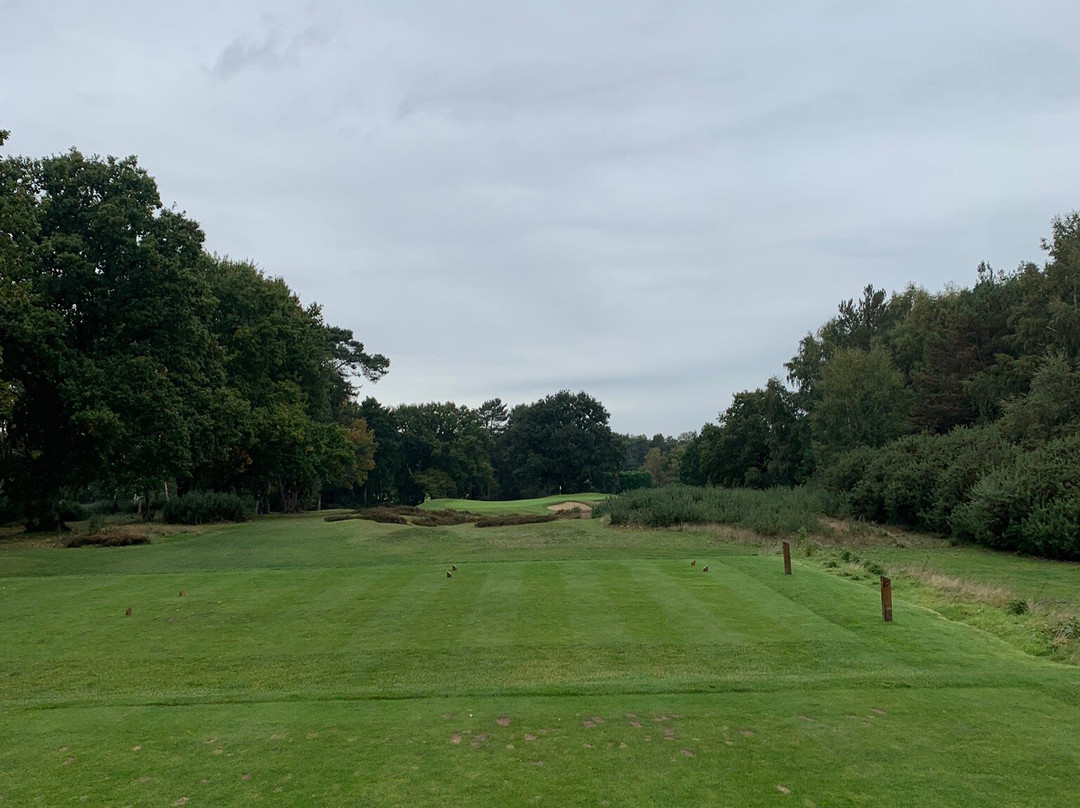 Sunningdale Golf Club景点图片