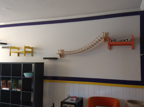 Purr & Pour Cat Cafe-乔治敦必去景点