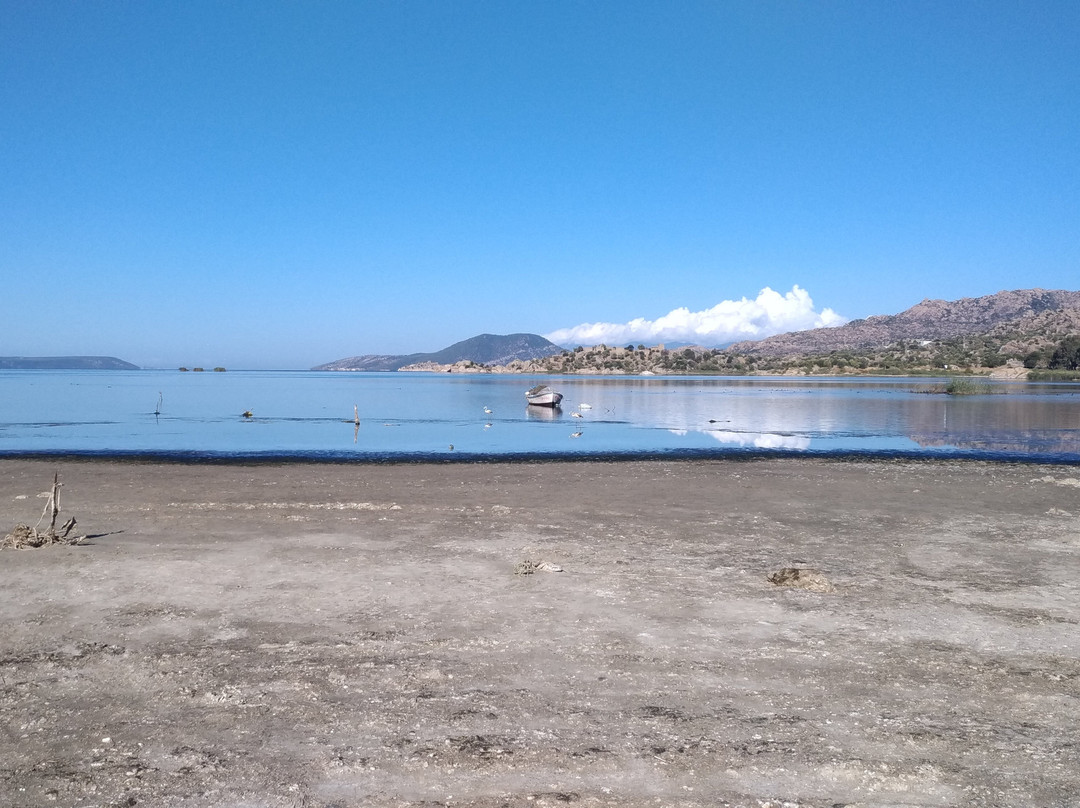 Lake Bafa Nature Park景点图片