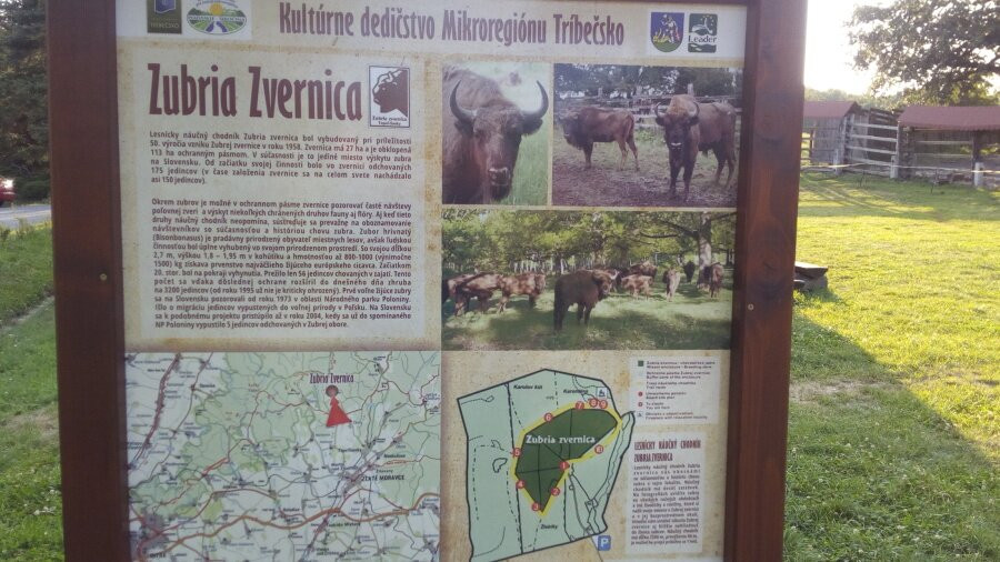 Topolcianky Bison Park-Topolcianky必去景点