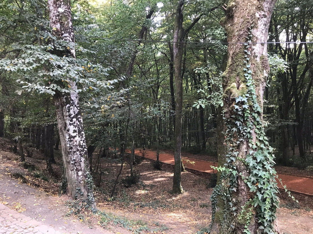 Belgrad Forest-伊斯坦布尔必去景点