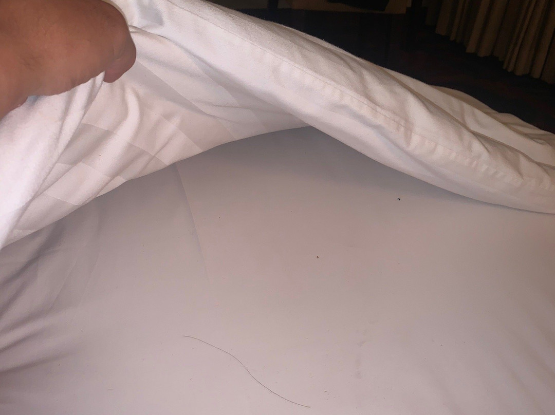 Grand Legi Mataram主图