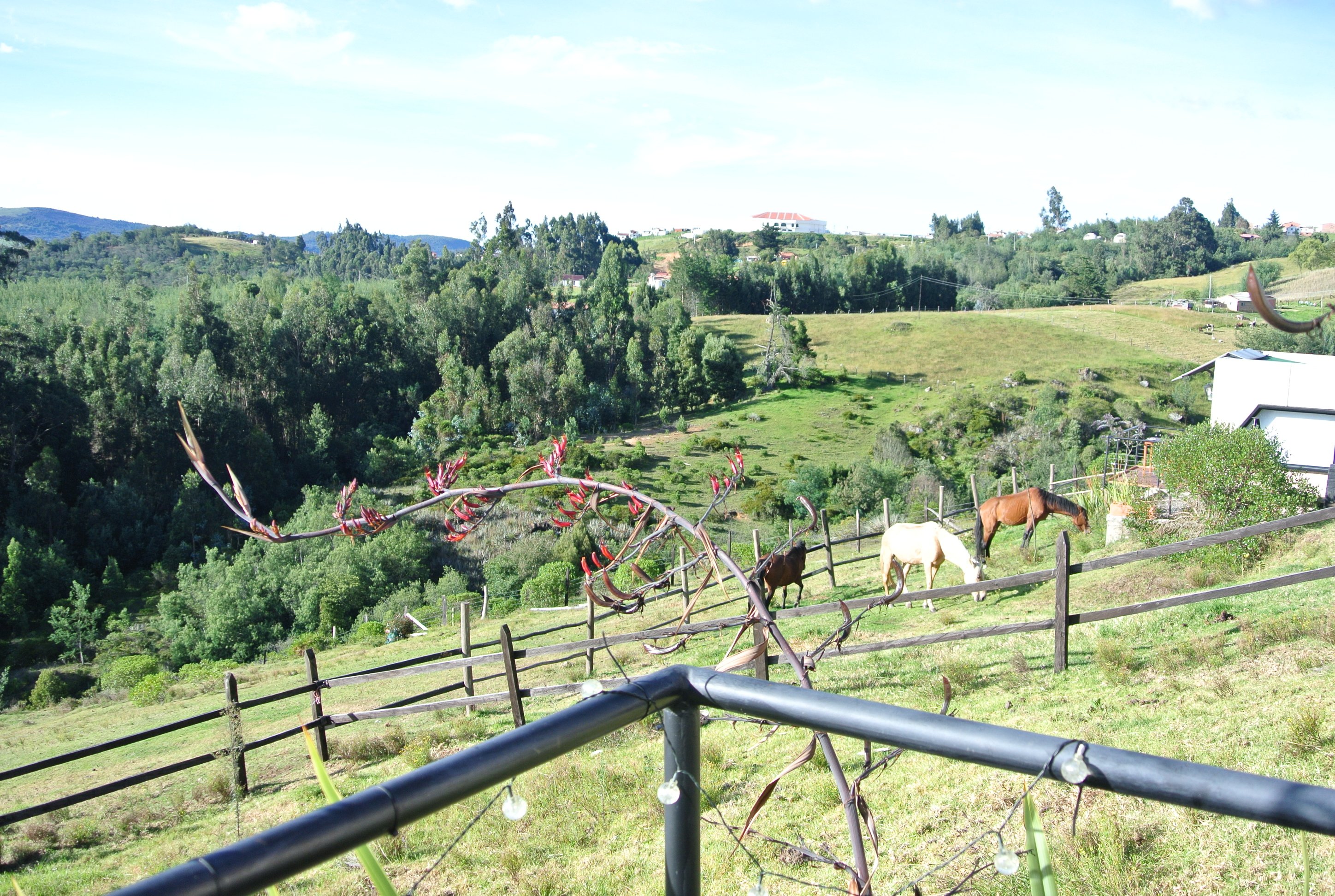 EnCubo Glamping Guatavita-浴室