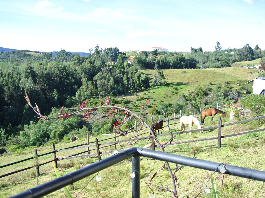 EnCubo Glamping Guatavita主图