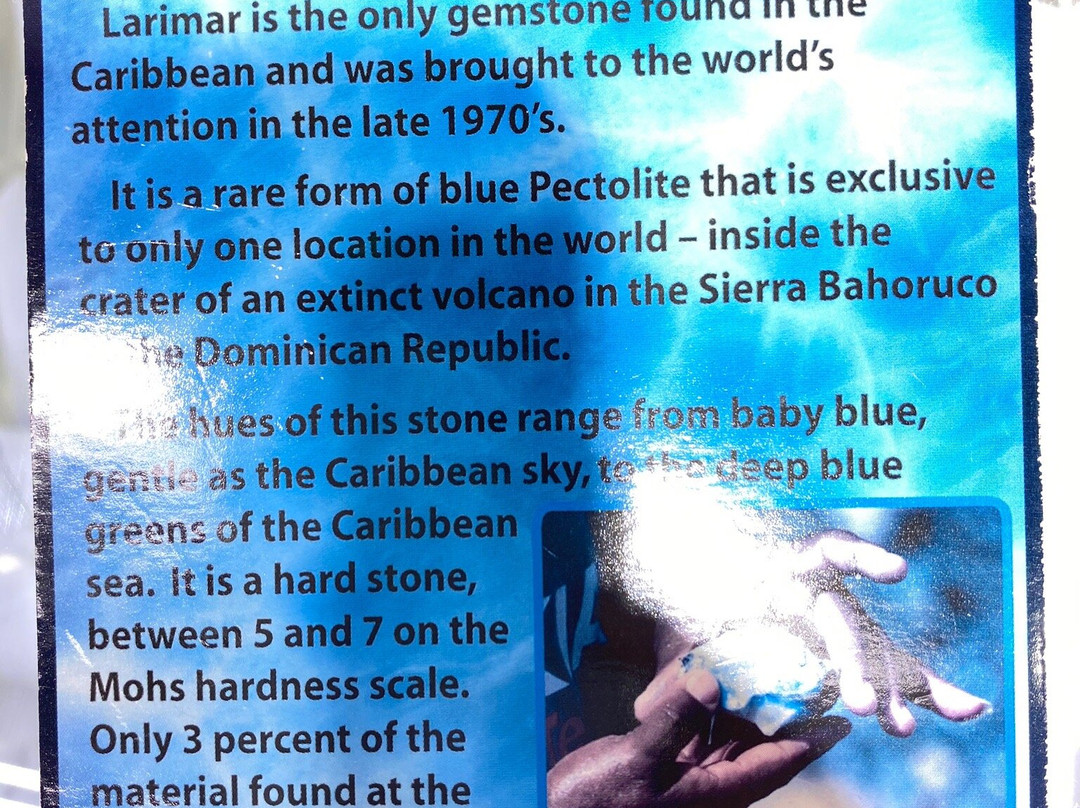 Silver & Gold Key West-基韦斯特必去景点