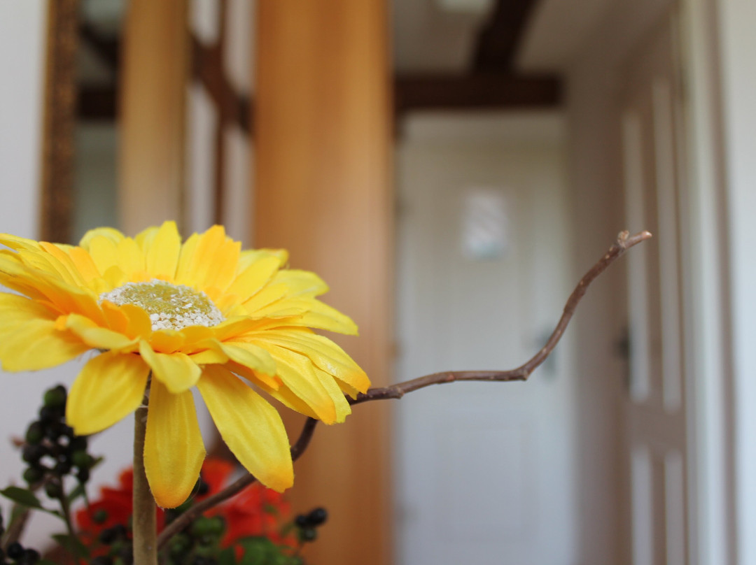 Pastorius Haus主图