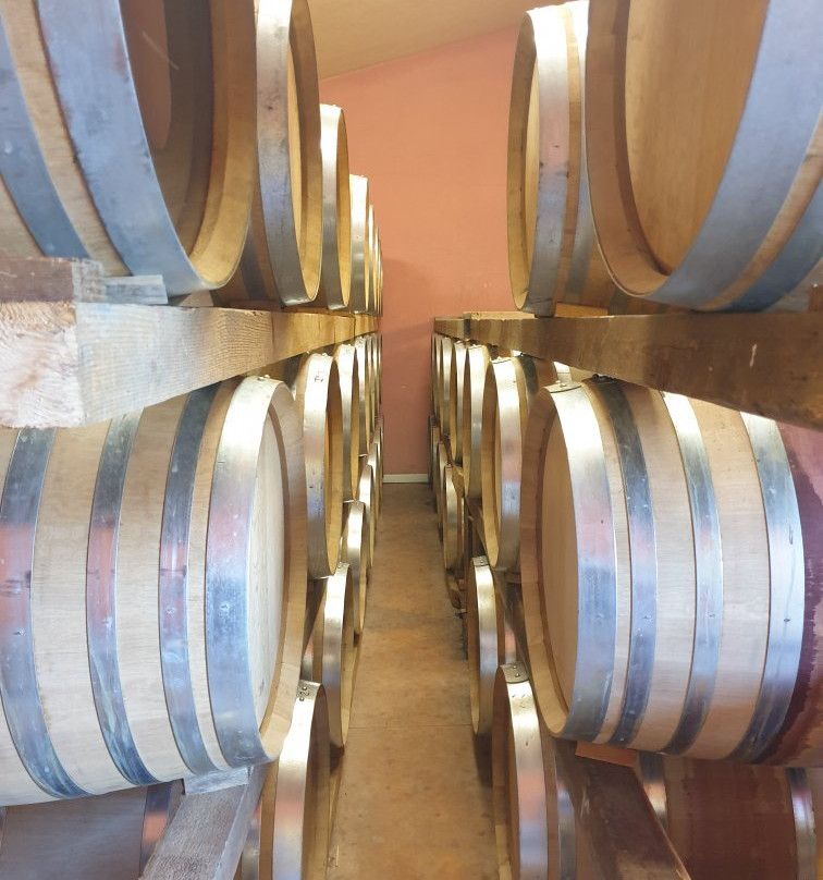 Barollo Winery景点图片