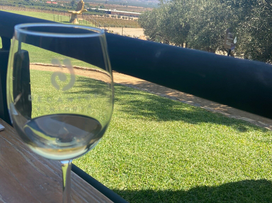 Decantos Vinicola景点图片