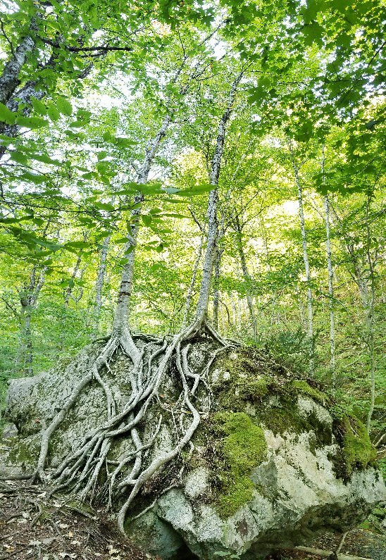 Uisge Ban Falls-Baddeck必去景点