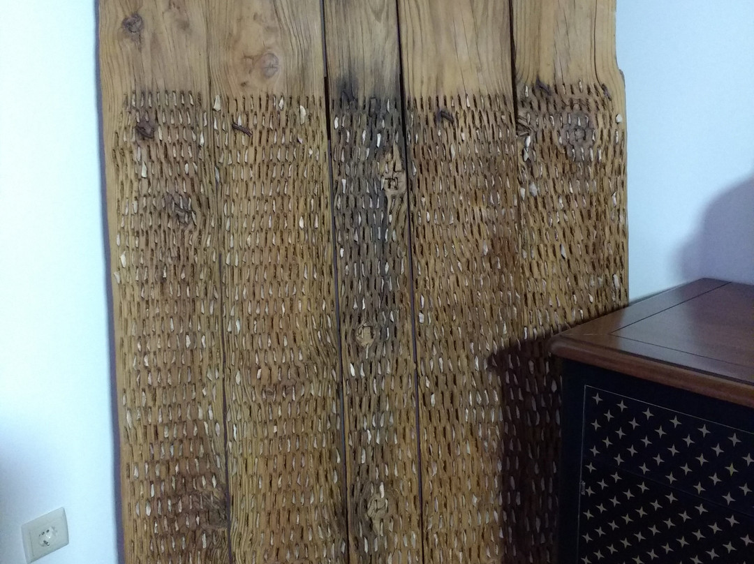 Curral D Avo Turismo Rural & Spa主图