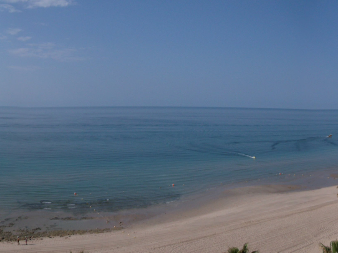 Sonoran Spa Resort主图