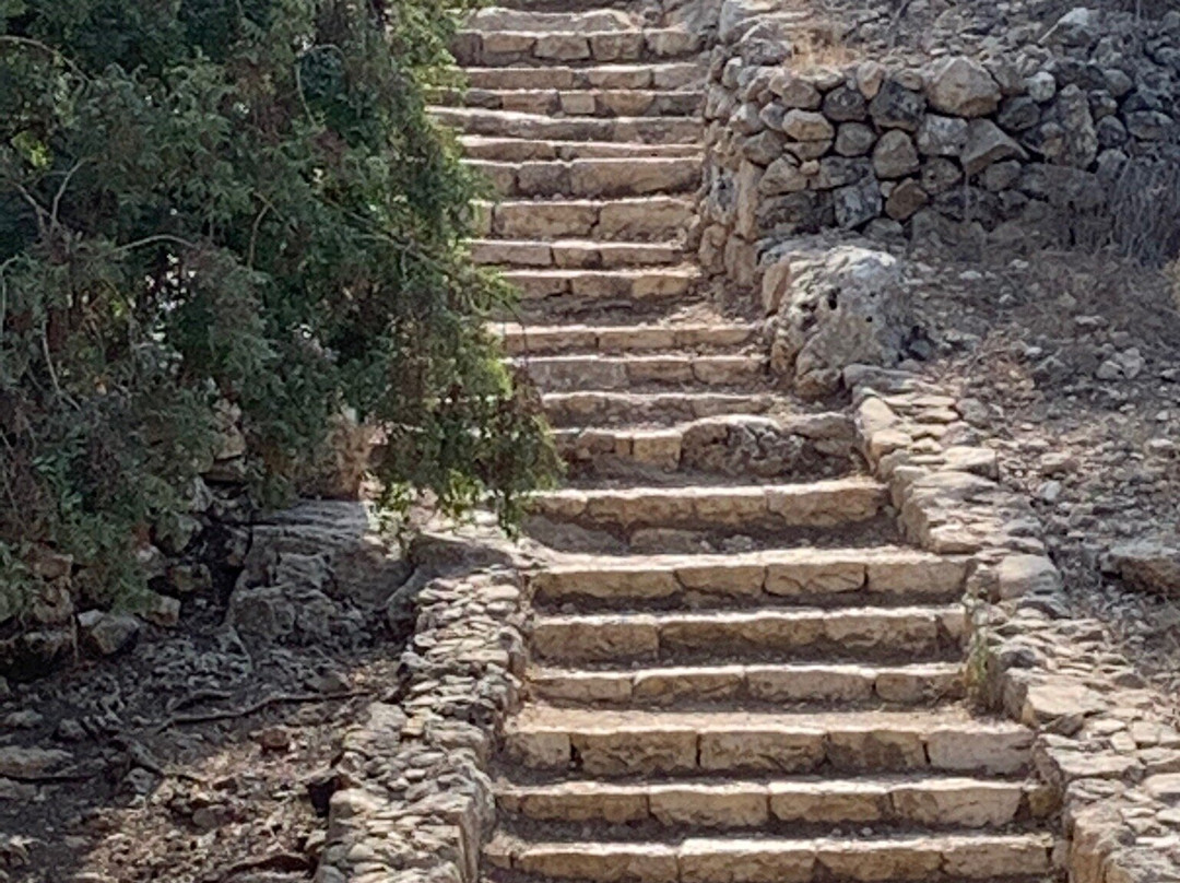 Sataf Nature Trail-耶路撒冷必去景点