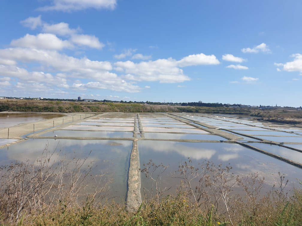 Marais Salants de Guerande景点图片