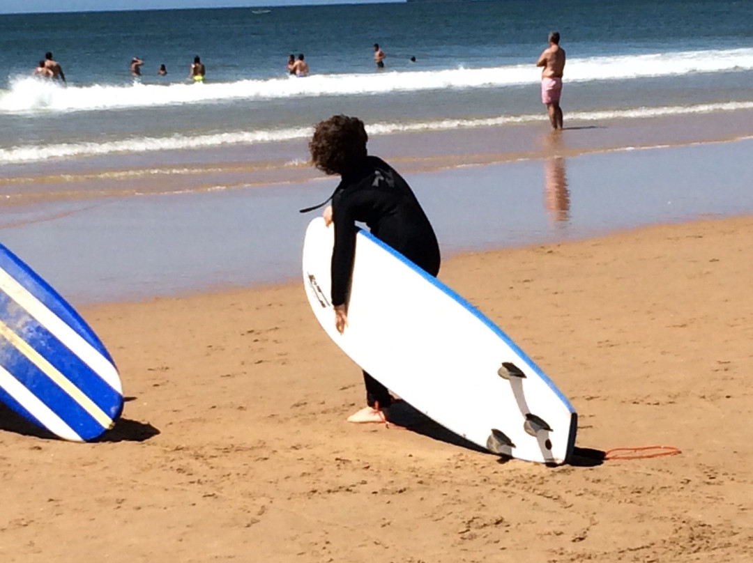 Surf's Up Portugal景点图片