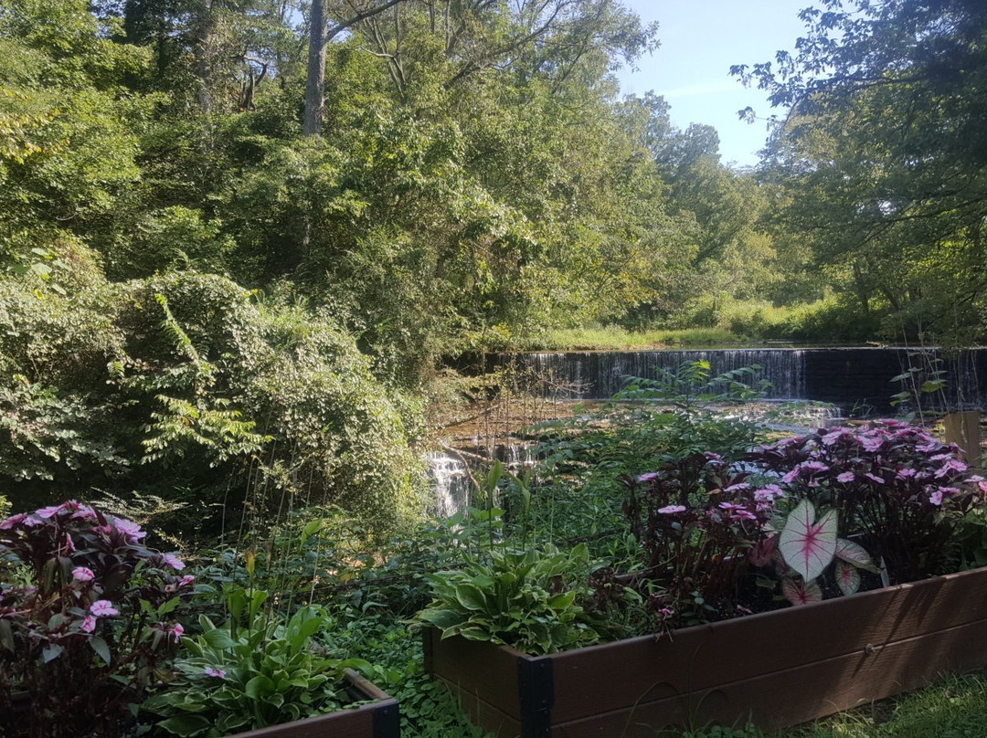 Falls Mill-Belvidere必去景点