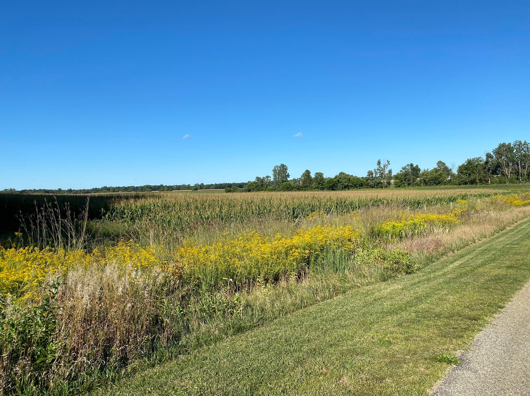 Pumpkinvine Nature Trail景点图片