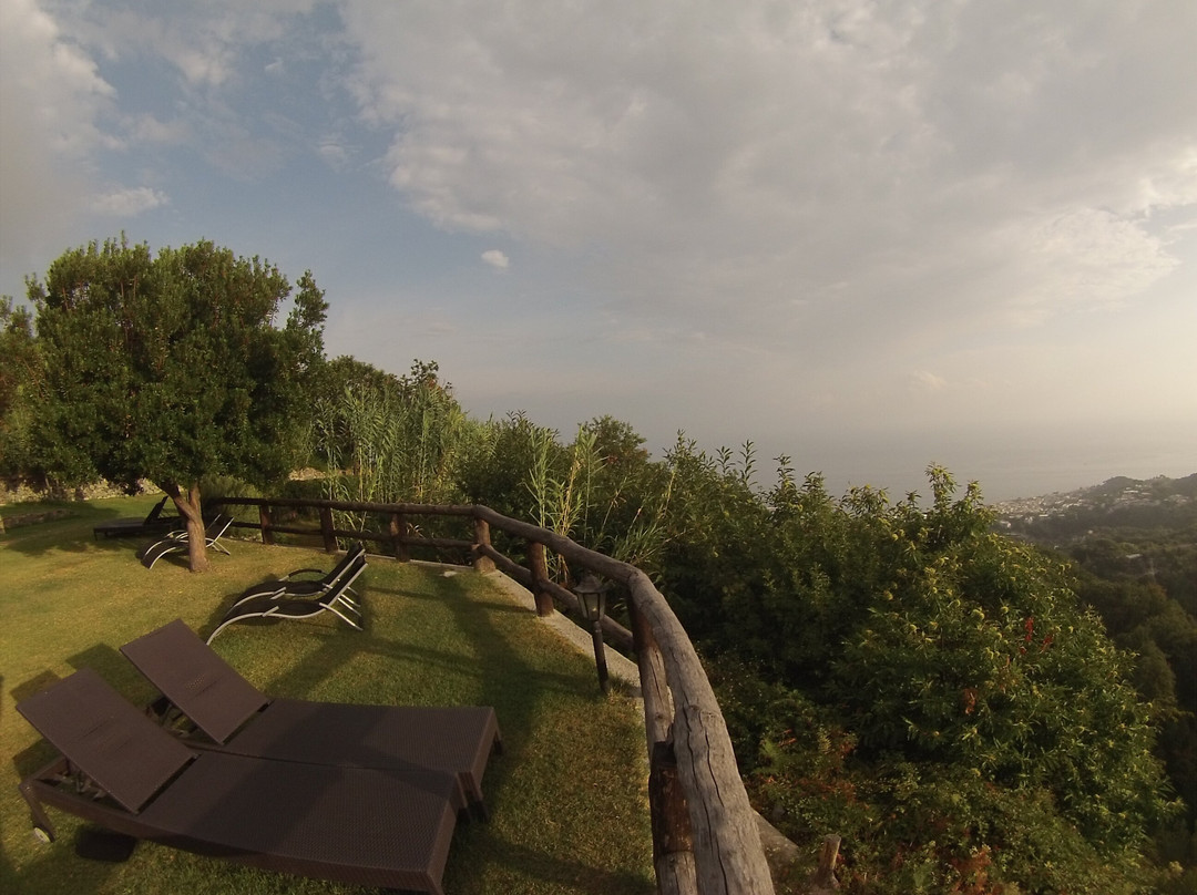 Pera di Basso Agriturismo主图