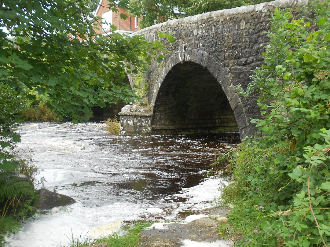 Dartmeet River Junction景点图片