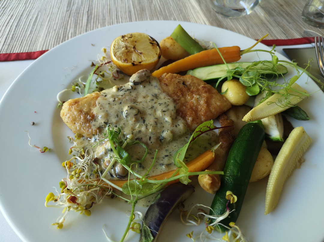 Hotel Żywiecki Medical SPA & Sport Żywiec主图