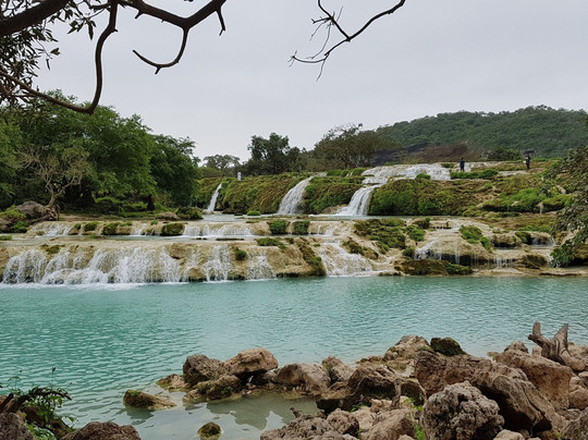 Salalah Adventures & Tours