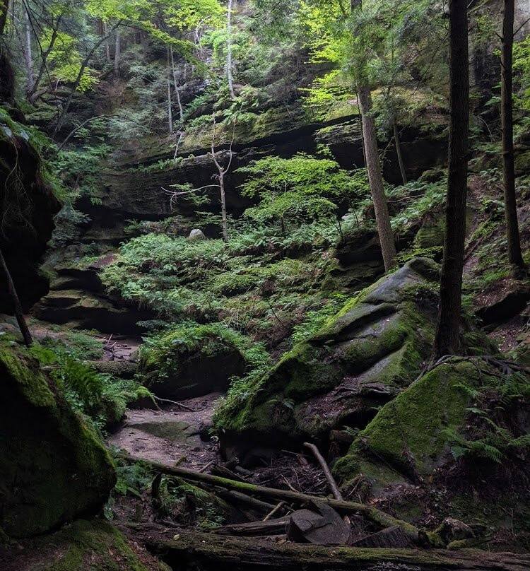 Conkles Hollow State Nature Preserve-Rockbridge必去景点