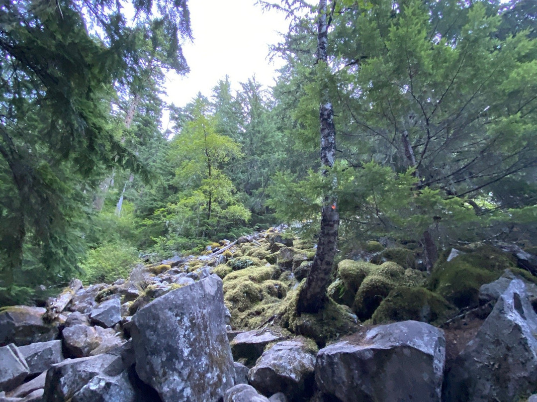 Lindeman Lake景点图片