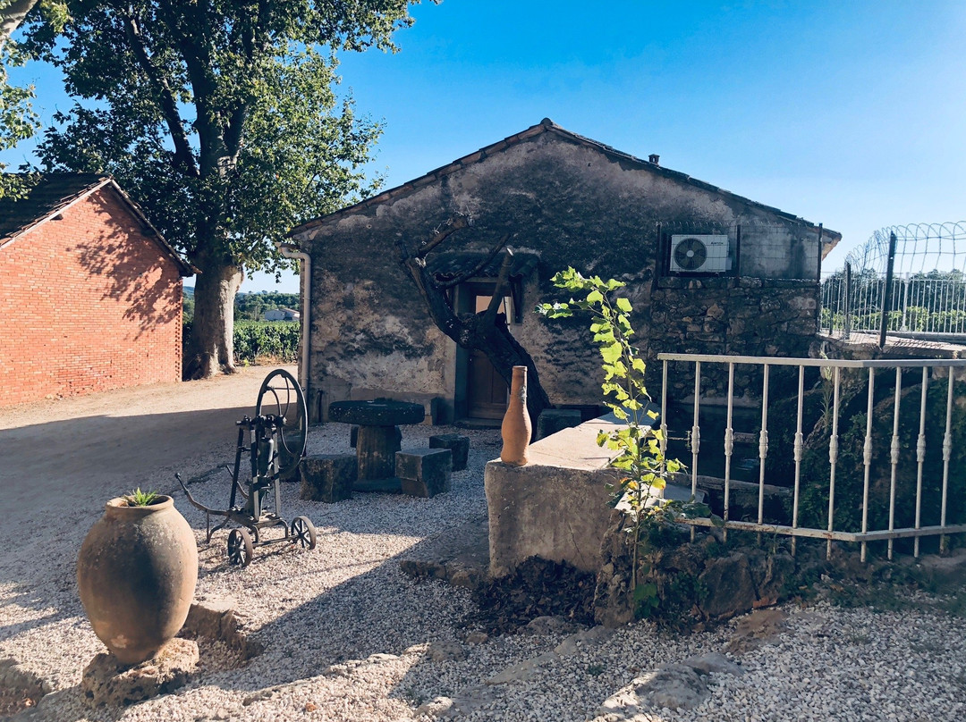 Chateau Nestuby主图