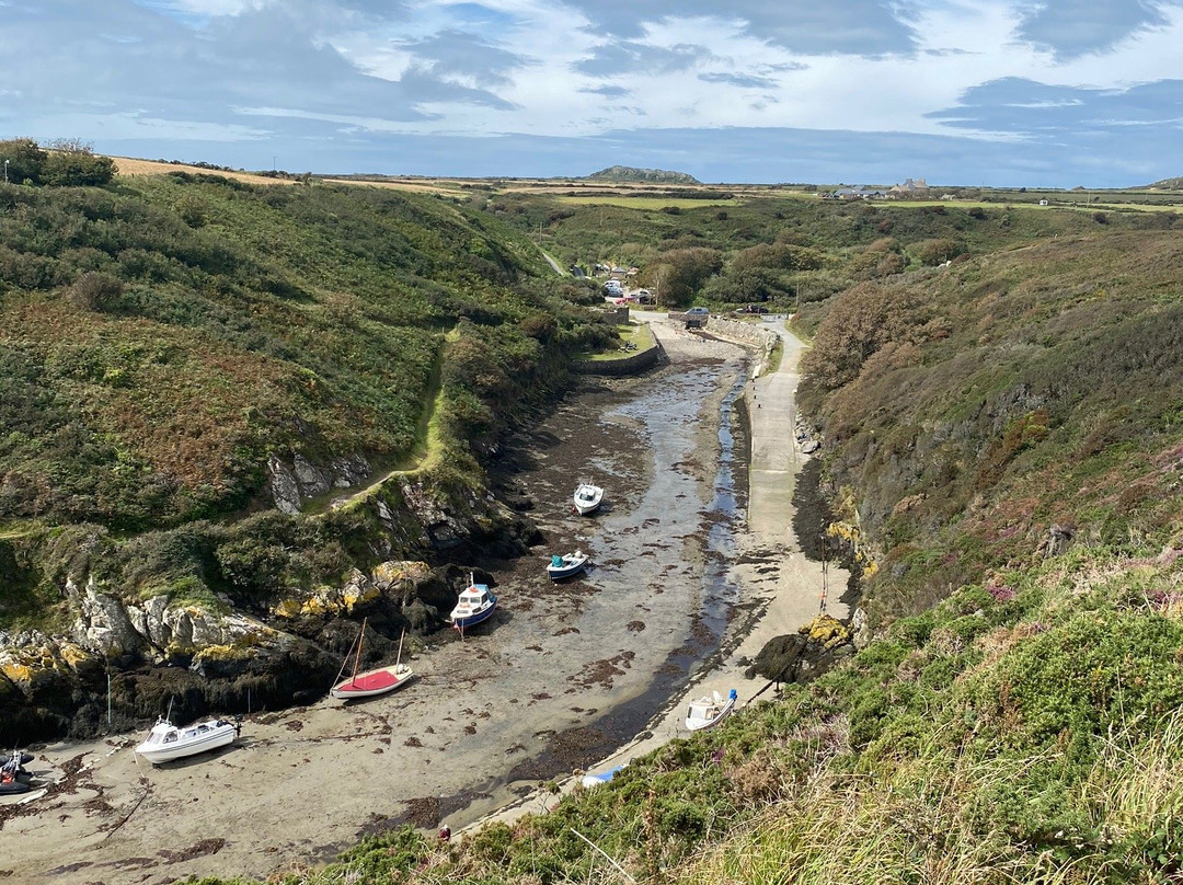 Porth Clais Harbour景点图片