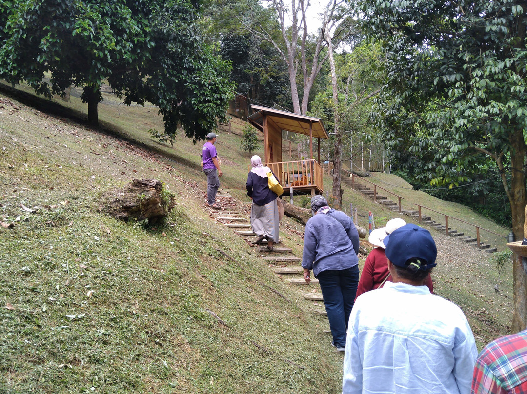 Garden Farms By Radiant-武吉丁宜高原必去景点