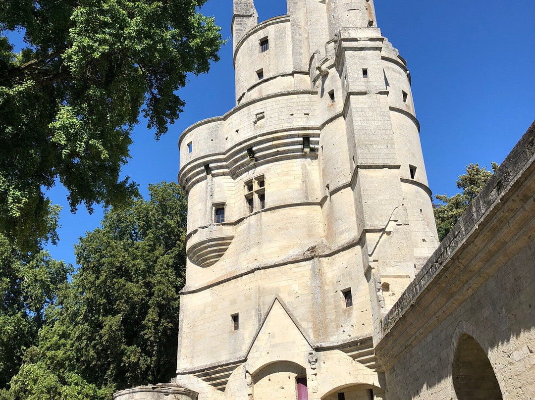 Donjon de Septmonts景点图片
