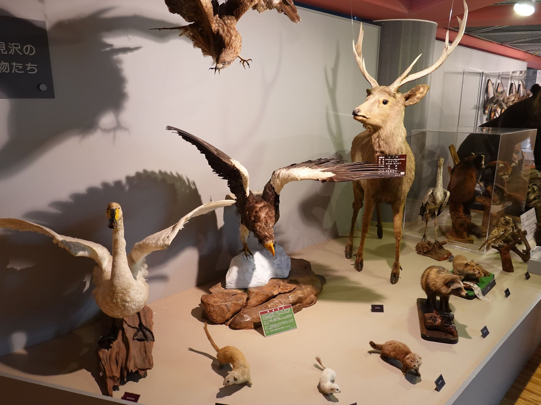 Iwamizawa Folk and Science Museum-岩见泽市必去景点